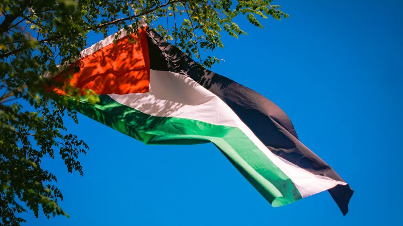 bendera palestina